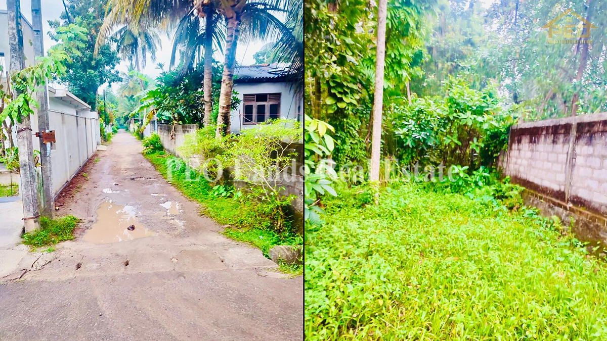 P 434 10.0 per Lands for sale Delgahawattha rd, pinwatta, panadura.