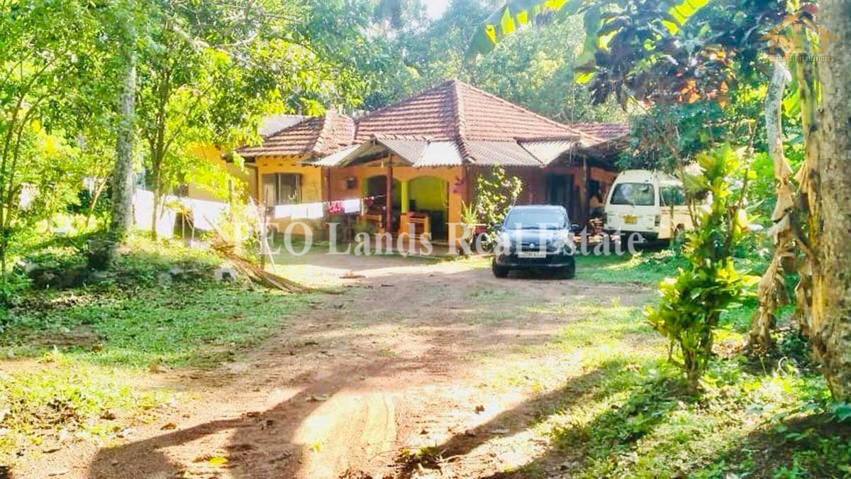 (K365) 123 Perch Land With House For Sale in Gampaha