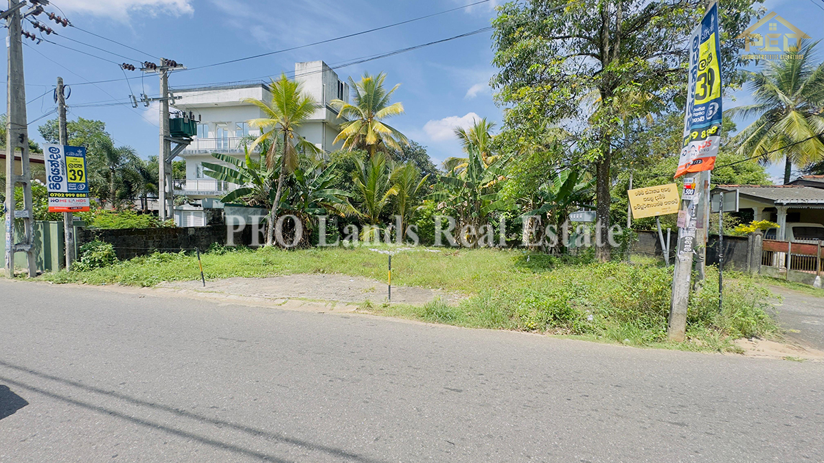(DLR599) 15 Perch Land for Rent in Pannipitiya