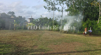 (RL306) 10 Perch Land For Sale in Bandaragama
